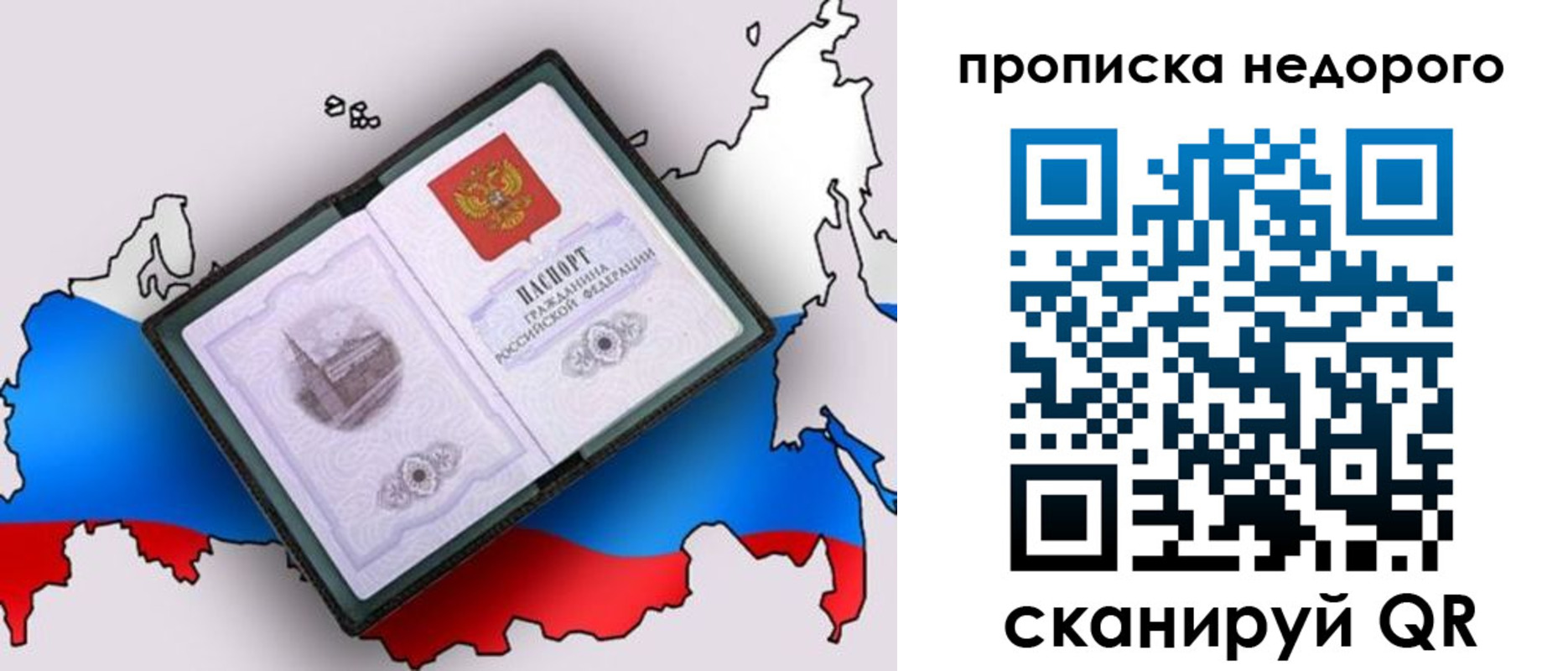 прописка в квартире в Кольчугино